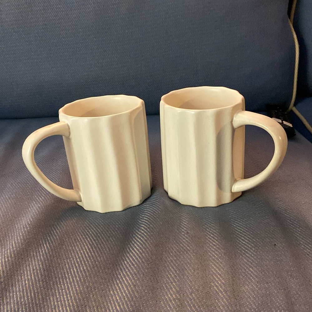 Pair of world market neutral mugs